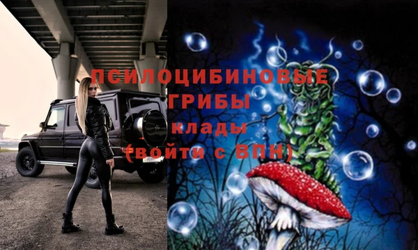 круглые Рославль