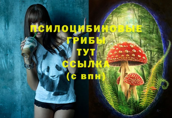 не бодяженный Алзамай