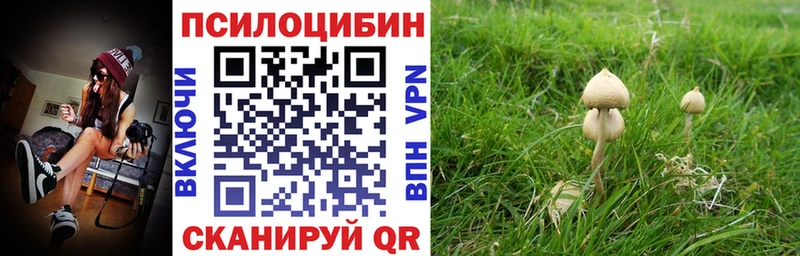 Галлюциногенные грибы мицелий  Западная Двина 