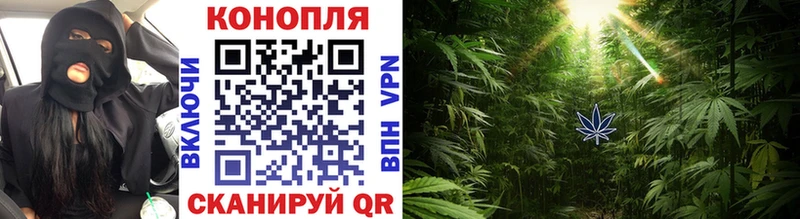kraken как войти  Западная Двина  Конопля ГИДРОПОН 